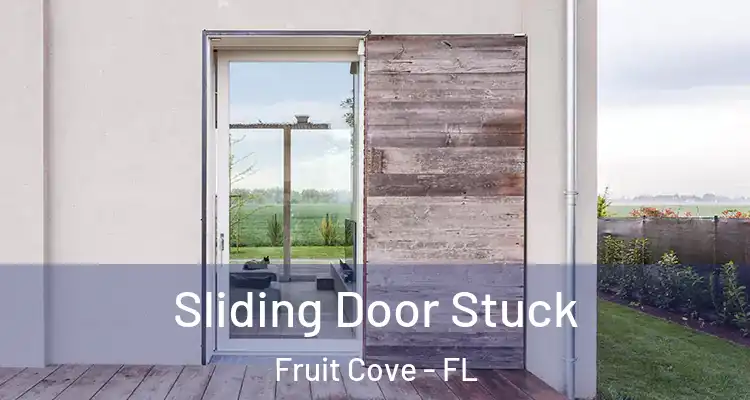  Sliding Door Stuck Fruit Cove - FL
