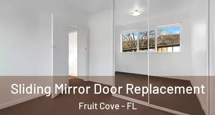  Sliding Mirror Door Replacement Fruit Cove - FL