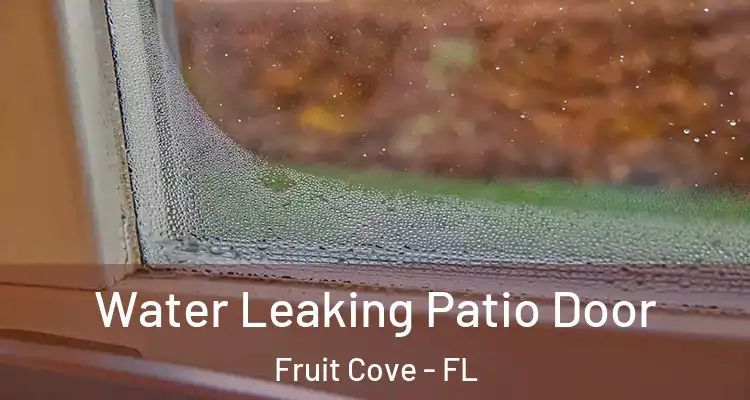  Water Leaking Patio Door Fruit Cove - FL