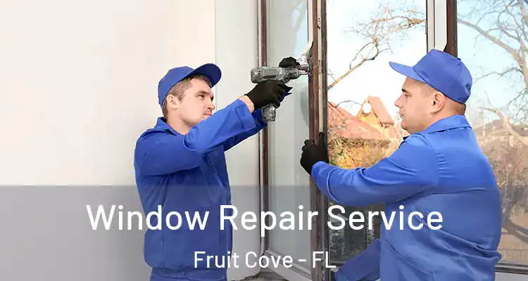  Window Repair Service Fruit Cove - FL