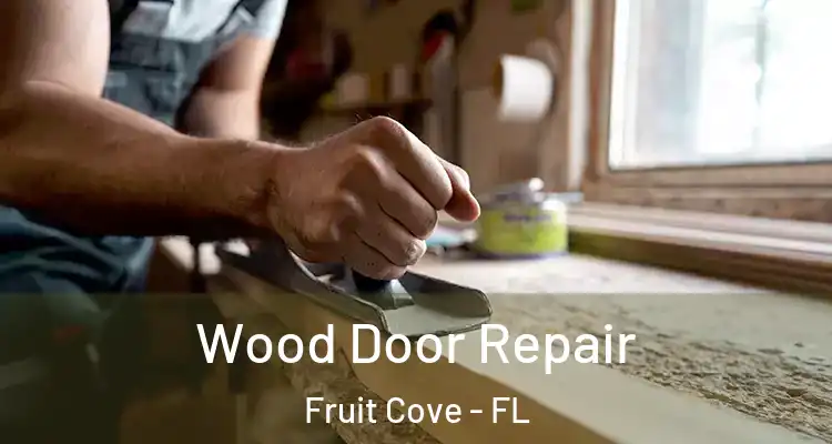  Wood Door Repair Fruit Cove - FL